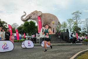 BIB: 
                            <button type="button" onclick="openModal(26529025)" class="btn btn-primary btn-sm float-right btn-popup" data-toggle="modal" data-target=".modal-high-quality">
                        <i class="fas fa-shopping-cart"></i> Add to Cart
                    </button>
                                            <button type="button" onclick="isThisMe(26529025, true)" class="btn btn-success btn-sm float-right btn-popup btn-isme hidden" data-toggle="tooltip" data-placement="bottom" title="นี่คือรูปของคุณใช่ไหม คลิกที่นี่เพื่อเอาเข้าอัลบั้ม">
                        <i class="fas fa-plus"></i> Add to album
                    </button>
                    <button type="button" onclick="isThisMe(26529025, false)" class="btn btn-warning btn-sm float-right btn-popup btn-isnotme hidden">
                        <i class="fas fa-ban"></i> Remove from album
                    </button>